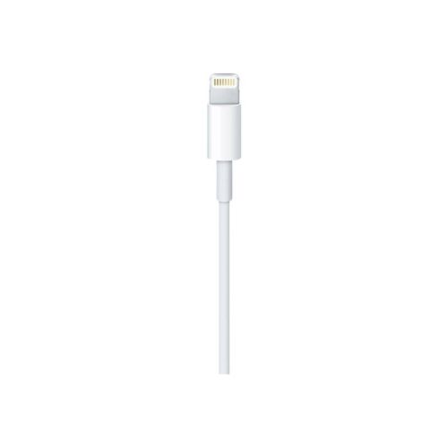 Cable Apple USB-C a Lightning 1 m