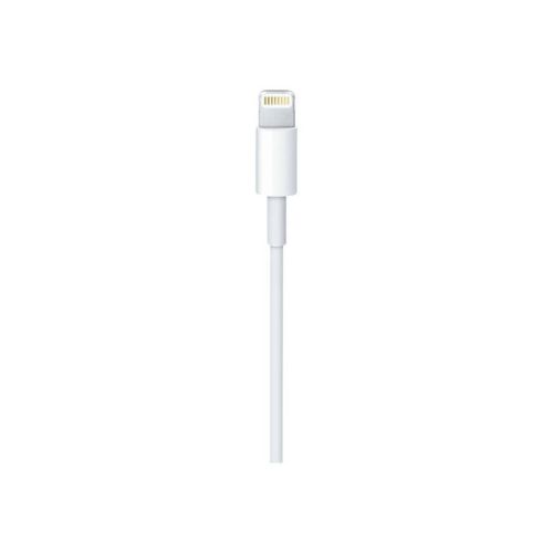Cable Apple USB a Lightning 1 m