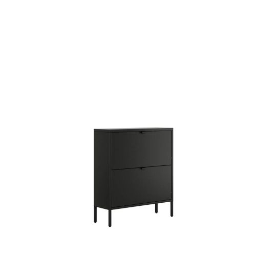 Zapatero abatible de 2 Puertas metálico TITANIA