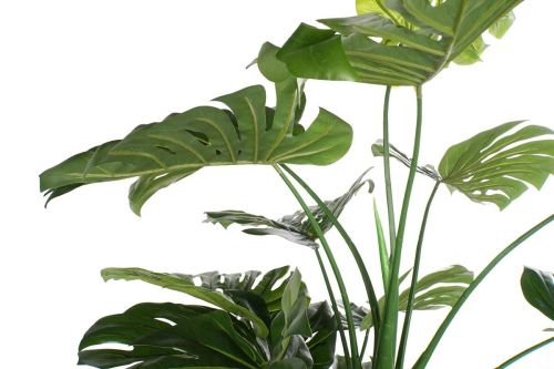 Planta Artificial Costilla De Adán Verde JA-165005