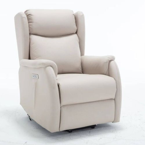 Sillón Relax FRANCIA Power Lift Eléctrico Gris